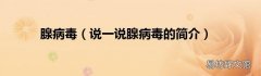 说一说腺病毒的简介 腺病毒