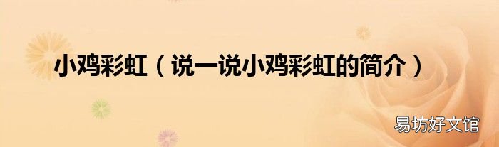 说一说小鸡彩虹的简介 小鸡彩虹