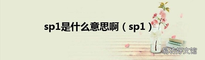 sp1 sp1是什么意思啊