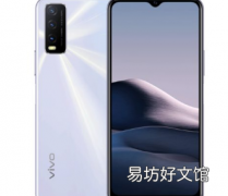 Vivo Y20是一款集性能和时尚于一体的经济型智能手机