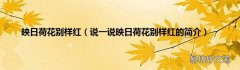 说一说映日荷花别样红的简介 映日荷花别样红
