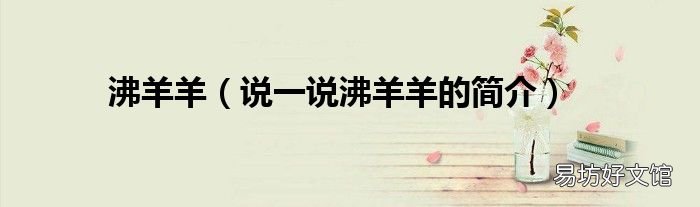 说一说沸羊羊的简介 沸羊羊