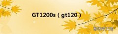 gt120 GT1200s