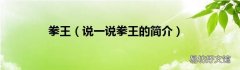 说一说拳王的简介 拳王
