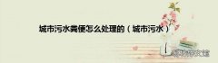 城市污水 城市污水粪便怎么处理的