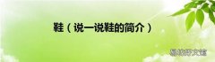 说一说鞋的简介 鞋