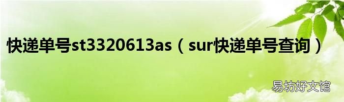sur快递单号查询 快递单号st3320613as