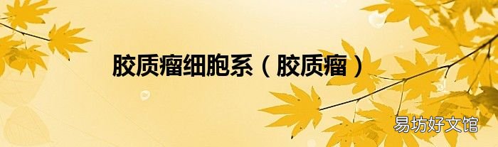胶质瘤 胶质瘤细胞系