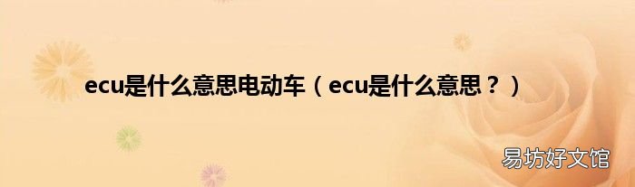 ecu是什么意思? ecu是什么意思电动车