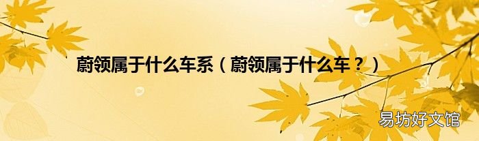 蔚领属于什么车? 蔚领属于什么车系
