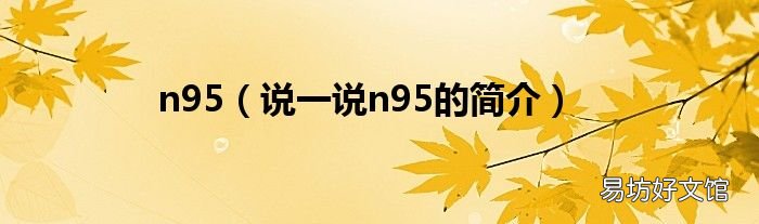 说一说n95的简介 n95