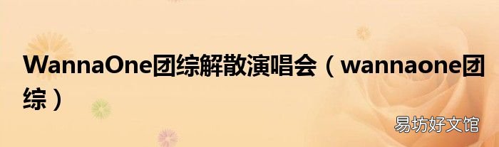 wannaone团综 WannaOne团综解散演唱会
