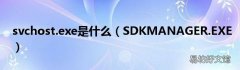 SDKMANAGER.EXE svchost.exe是什么