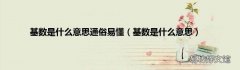 基数是什么意思 基数是什么意思通俗易懂