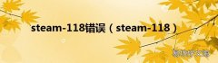 steam-118 steam-118错误