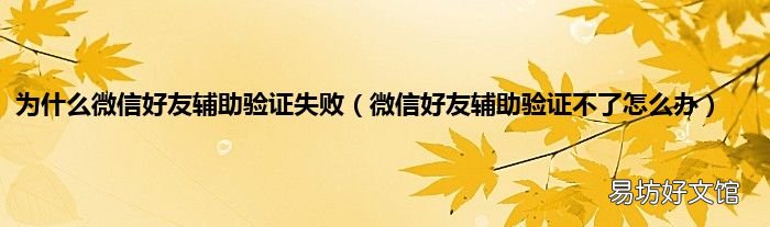 微信好友辅助验证不了怎么办 为什么微信好友辅助验证失败