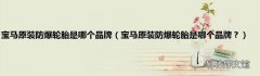 宝马原装防爆轮胎是哪个品牌？ 宝马原装防爆轮胎是哪个品牌