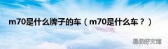 m70是什么车？ m70是什么牌子的车