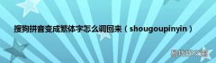 shougoupinyin 搜狗拼音变成繁体字怎么调回来