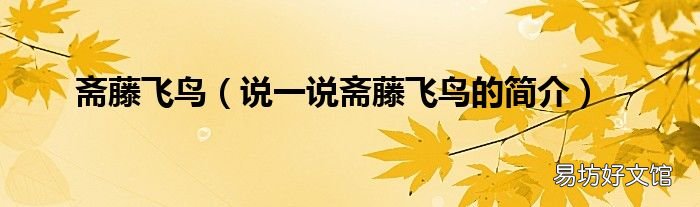 说一说斋藤飞鸟的简介 斋藤飞鸟