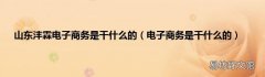 电子商务是干什么的 山东沣霖电子商务是干什么的