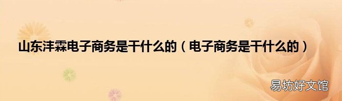 电子商务是干什么的 山东沣霖电子商务是干什么的