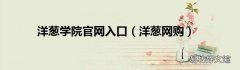 洋葱网购 洋葱学院官网入口