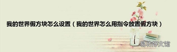 我的世界怎么用指令放置假方块 我的世界假方块怎么设置