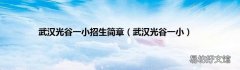 武汉光谷一小 武汉光谷一小招生简章