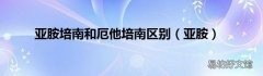 亚胺 亚胺培南和厄他培南区别