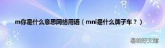 mni是什么牌子车？ m你是什么意思网络用语