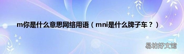 mni是什么牌子车? m你是什么意思网络用语