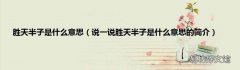 说一说胜天半子是什么意思的简介 胜天半子是什么意思