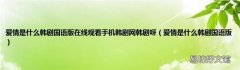 爱情是什么韩剧国语版 爱情是什么韩剧国语版在线观看手机韩剧网韩剧呀