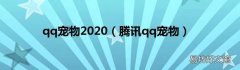 腾讯qq宠物 qq宠物2020