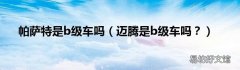 迈腾是b级车吗？ 帕萨特是b级车吗