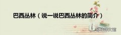 说一说巴西丛林的简介 巴西丛林