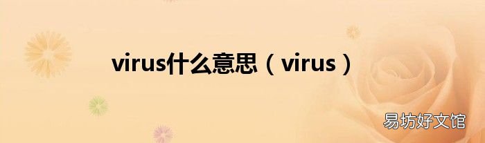 virus virus什么意思