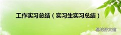 实习生实习总结 工作实习总结