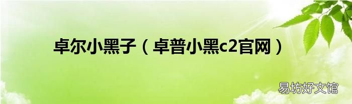 卓普小黑c2官网 卓尔小黑子