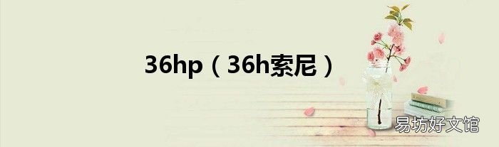 36h索尼 36hp