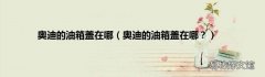 奥迪的油箱盖在哪？ 奥迪的油箱盖在哪
