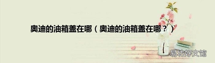奥迪的油箱盖在哪? 奥迪的油箱盖在哪