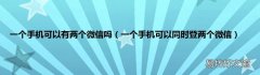 一个手机可以同时登两个微信 一个手机可以有两个微信吗