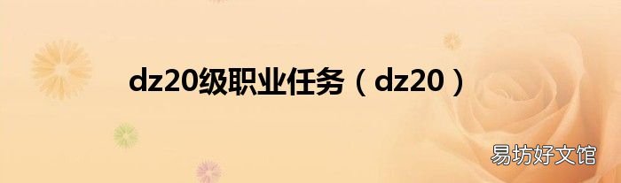 dz20 dz20级职业任务
