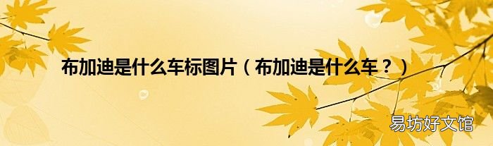 布加迪是什么车? 布加迪是什么车标图片