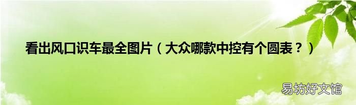 大众哪款中控有个圆表？ 看出风口识车最全图片