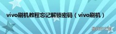 vivo刷机 vivo刷机教程忘记解锁密码