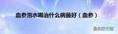 血参 血参泡水喝治什么病最好