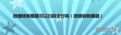 微信转账限额 微信转账限额可以扫码支付吗